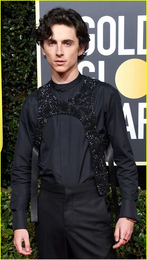 tim chalamet harness.